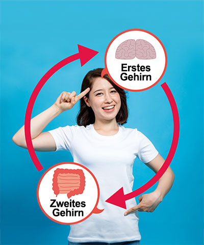 Erstes Gehirn: Kopf - zweites Gehirn: Darm